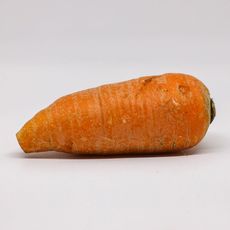 short fat carrot on white background