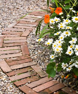 Garden path made by reclaimed bricks in a curved shape