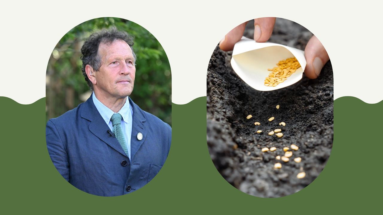 composite of monty don and person sowing seeds in soil 