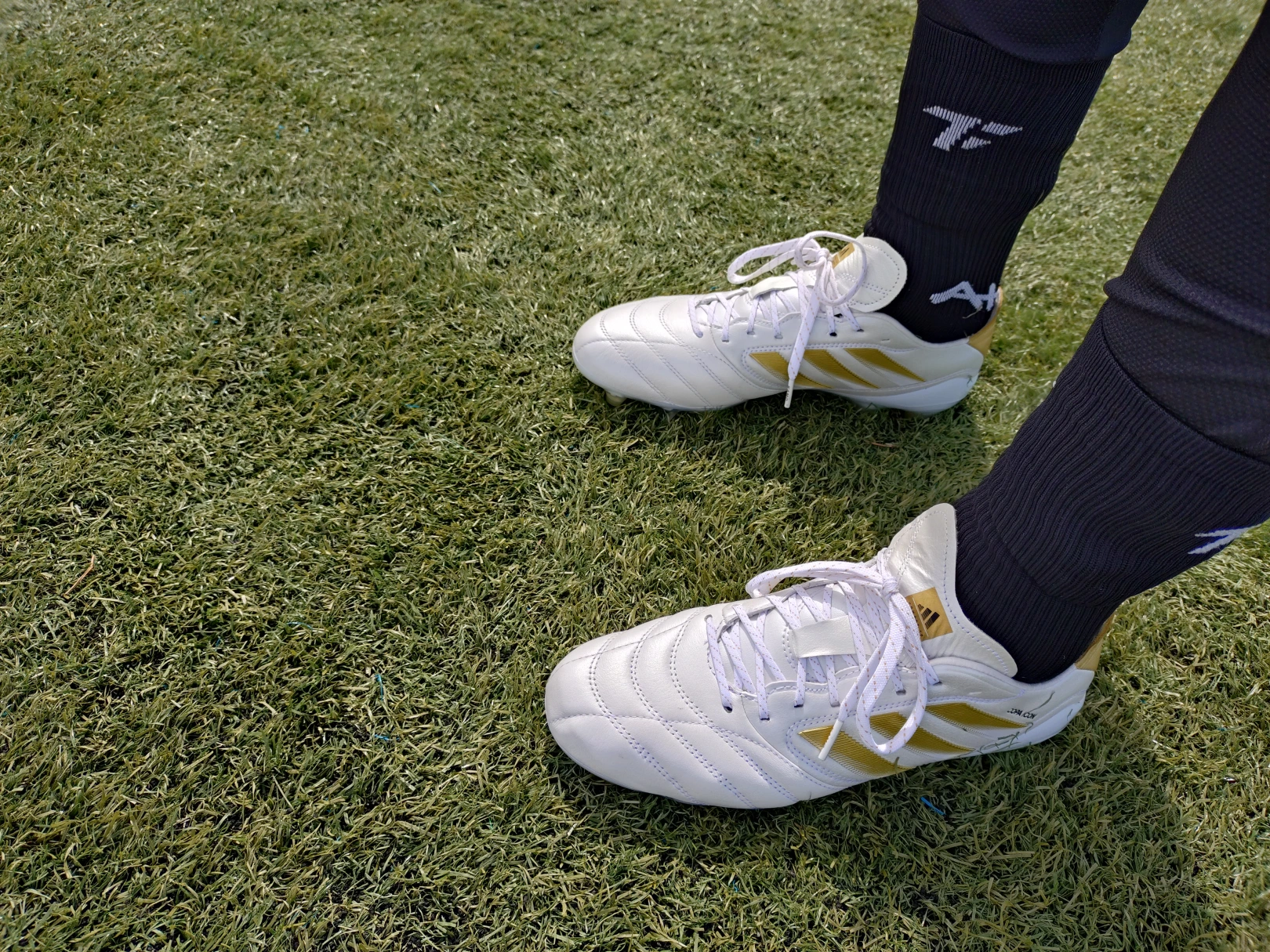 Adidas Copa Icon II boots in white on green grass