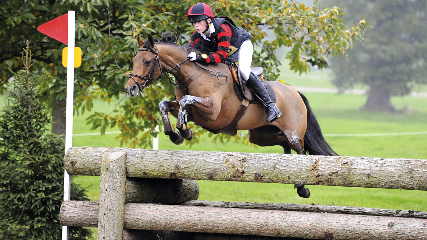 Top pony Catherston Nutsafe has died aged 30. Here she is pictured with Sam Ecroyd in 2010.