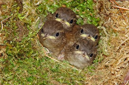 Can we help you? Credit: ImageBroker via Alamy