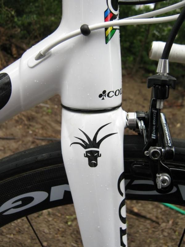 The integrated headset of the Colnago C59