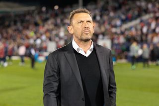Tony Popovic, Australia manager