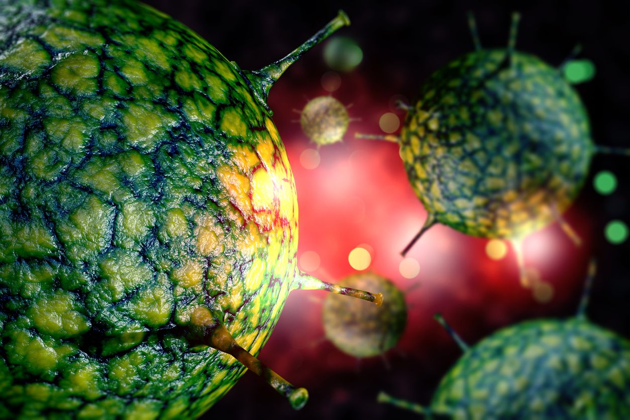 Common cold-causing rhinovirus.