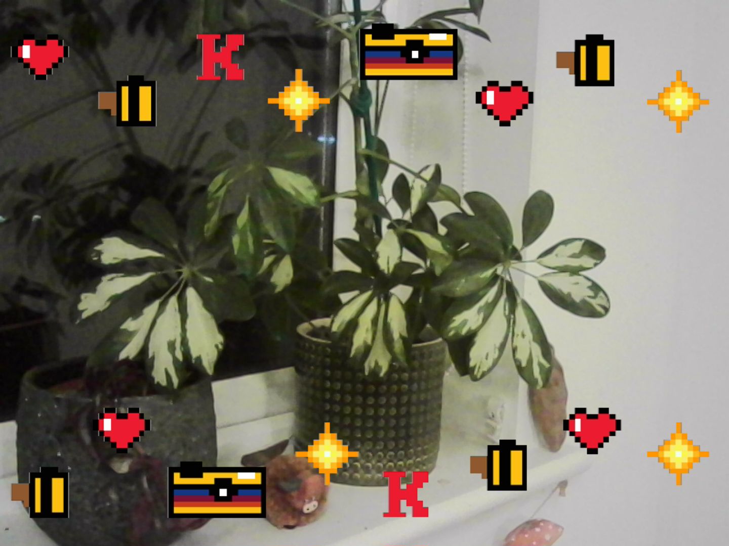 A photo taken on a Kodak Charmera keychain camera