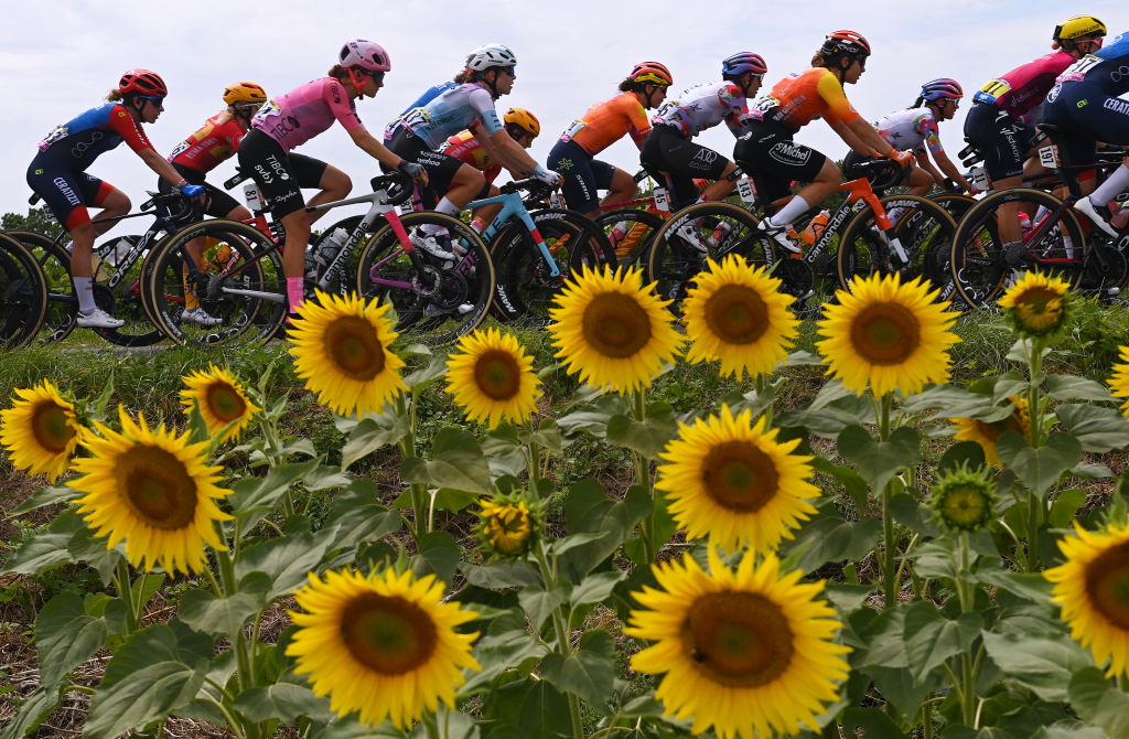 ALBI FRANCE JULY 28 LR Sandra Alonso of Spain and Team CERATIZITWNT Pro Cycling Wilma Olausson of Sweden and Team UnoX Pro Cycling Team Veronica Ewers of The United States and Team EF EducationTIBCOSVB Ella Wyllie of New Zealand and Team Lifeplus Wahoo Soraya Paladin of Italy and Team CanyonSRAM Racing Eleonora Camilla Gasparrini of Italy and UAE Team ADQ Simone Boilard of Canada and Team St Michel Mavic Auber93 Demi Vollering of The Netherlands and Team SD Worx Protime Pink UCI Womens WorldTour Leader Jersey and a general view of the peloton competing through flowery landscape during the 2nd Tour de France Femmes 2023 Stage 6 a 1221km stage from Albi to Blagnac UCIWWT on July 28 2023 in Albi France Photo by Tim de WaeleGetty Images