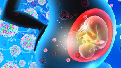 Baby in womb surrounded by viruses