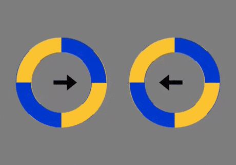 Spinning circles optical illusion
