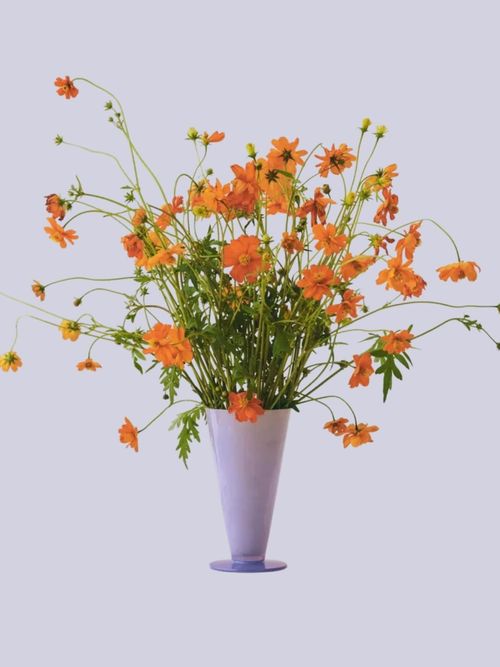 Conical Small Glass Vase 