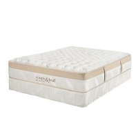  TEMPUR-PEDIC TEMPUR-Adapt 11-Inch Foam Hybrid Mattress