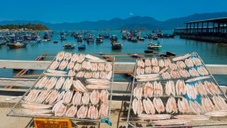 Fresh fish drying in the sun in Nha Trang, Vietnam