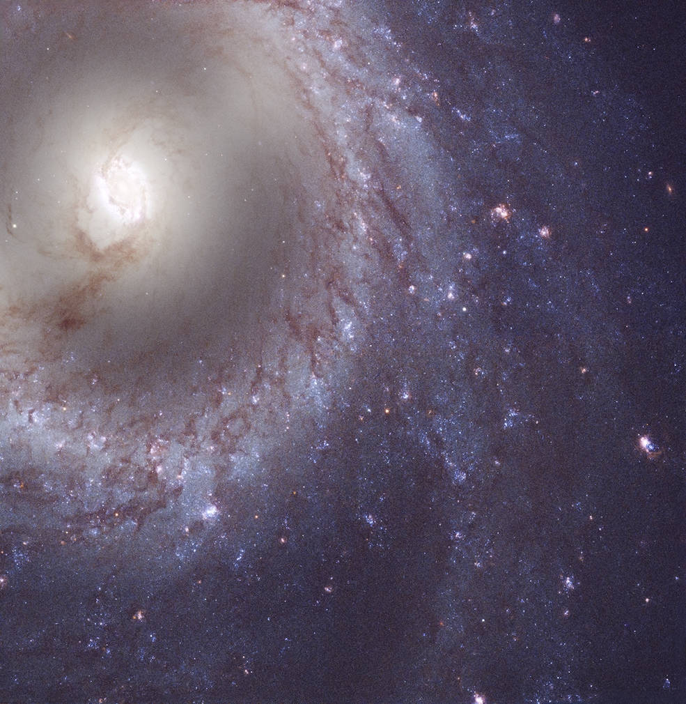 messier 95