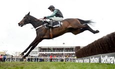 Altior retired: Nicky Henderson&rsquo;s stable star Altior has retired from racing aged 11