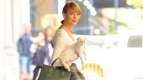 Taylor Swift’s cats: Names, ages, breeds and net worth | PetsRadar