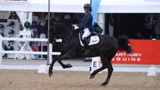 Winter Dressage Championships Friesian Tsjebe Fan &rsquo;E Vesta Hoeve