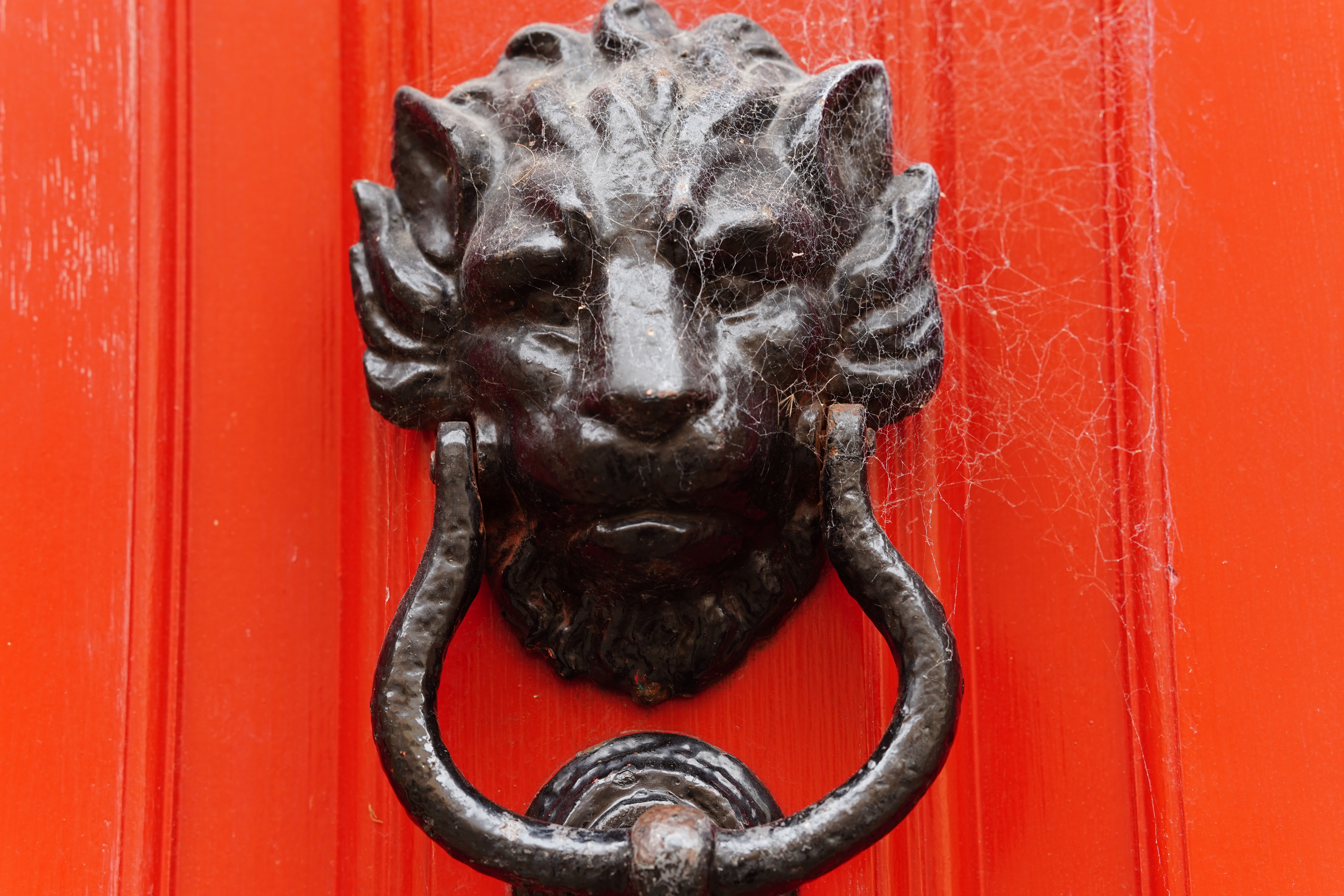 Meike AF 85mm f/1.8 SE II sample image