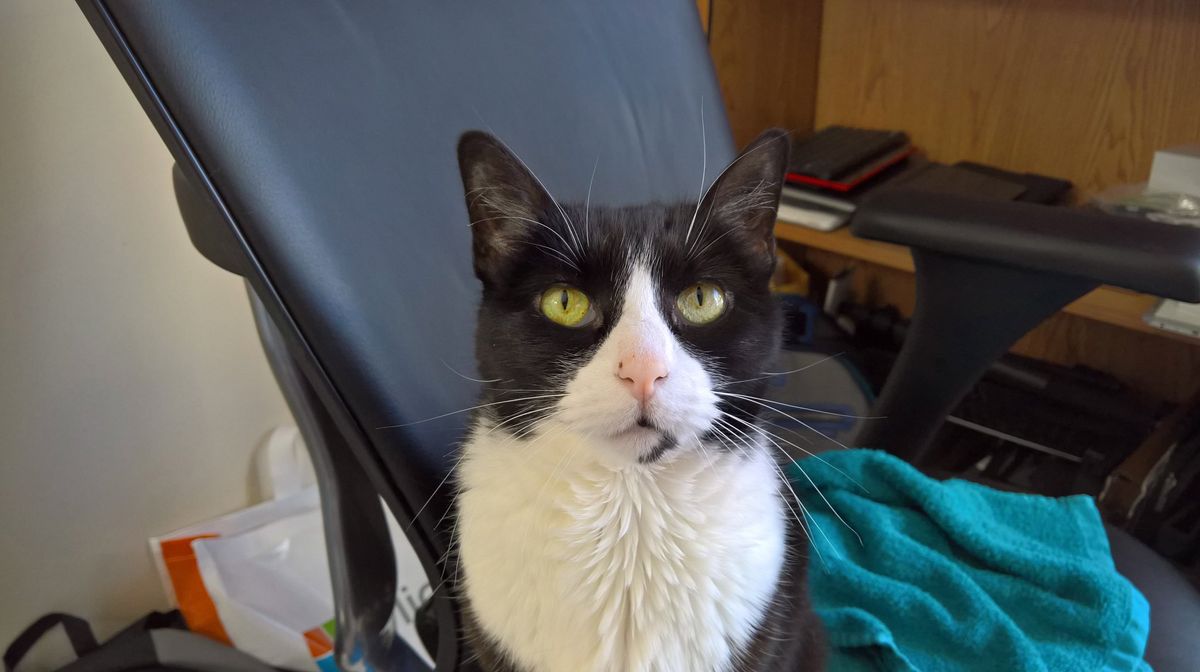 Lumia 950 Camera sample