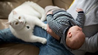 Man holding a baby with a cat on his lap looking up