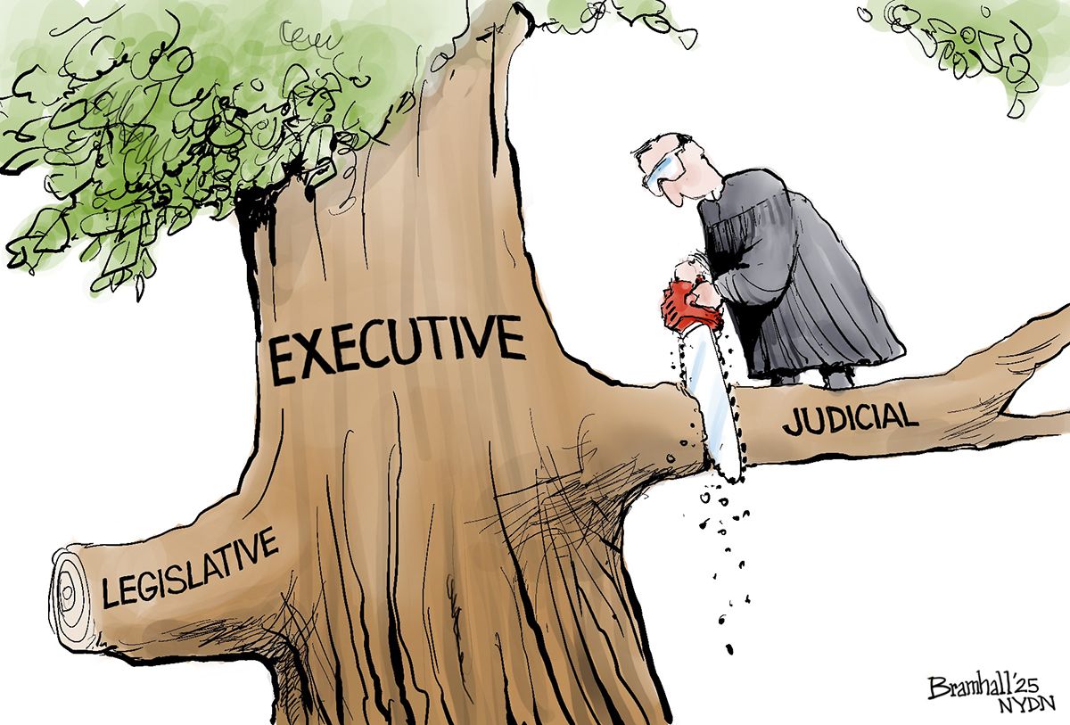 
                                This cartoon is set high in a tree. The tree&#039;s trunk is labeled “Executive.” A branch labeled “Legislative” has been recently cut off. A Supreme Court judge holds a chainsaw while he cuts the branch labeled “Judicial” on which he also stands, soon to send himself tumbling to the ground.
                            