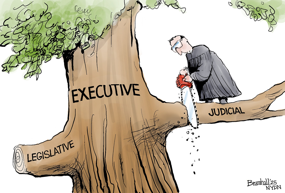 This cartoon is set high in a tree. The tree's trunk is labeled “Executive.” A branch labeled “Legislative” has been recently cut off. A Supreme Court judge holds a chainsaw while he cuts the branch labeled “Judicial” on which he also stands, soon to send himself tumbling to the ground.