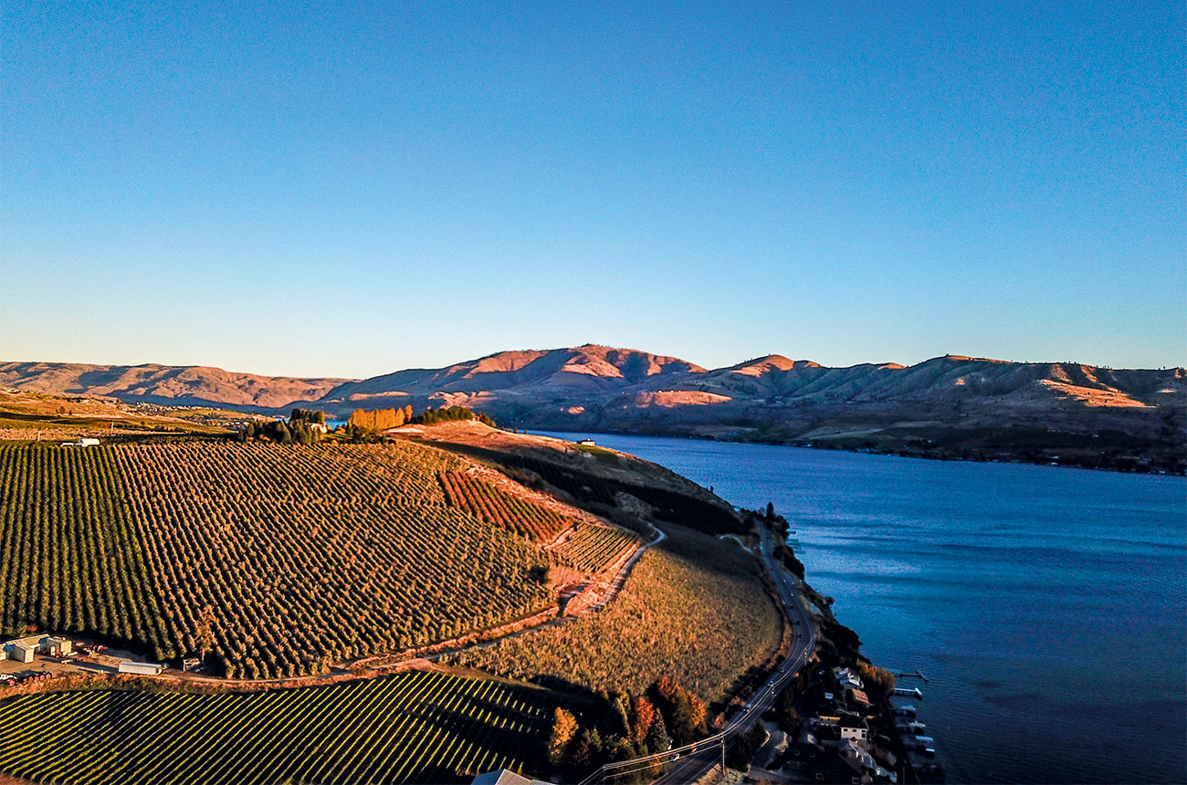 Washington winemakers