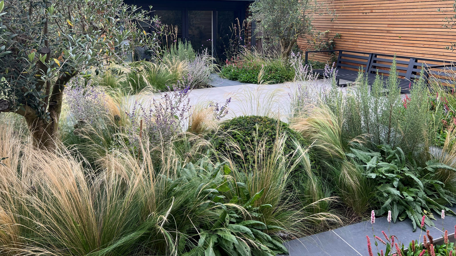 modern patio design with beds of ornamental grasses, black seat, slatted fence and olive trees