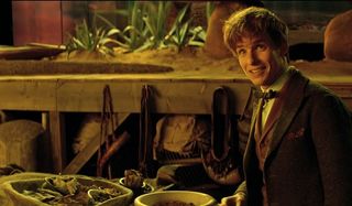 Fantastic Beasts and Where To Find Them Newt