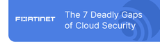 The 7 Deadly Gaps of Cloud Security
