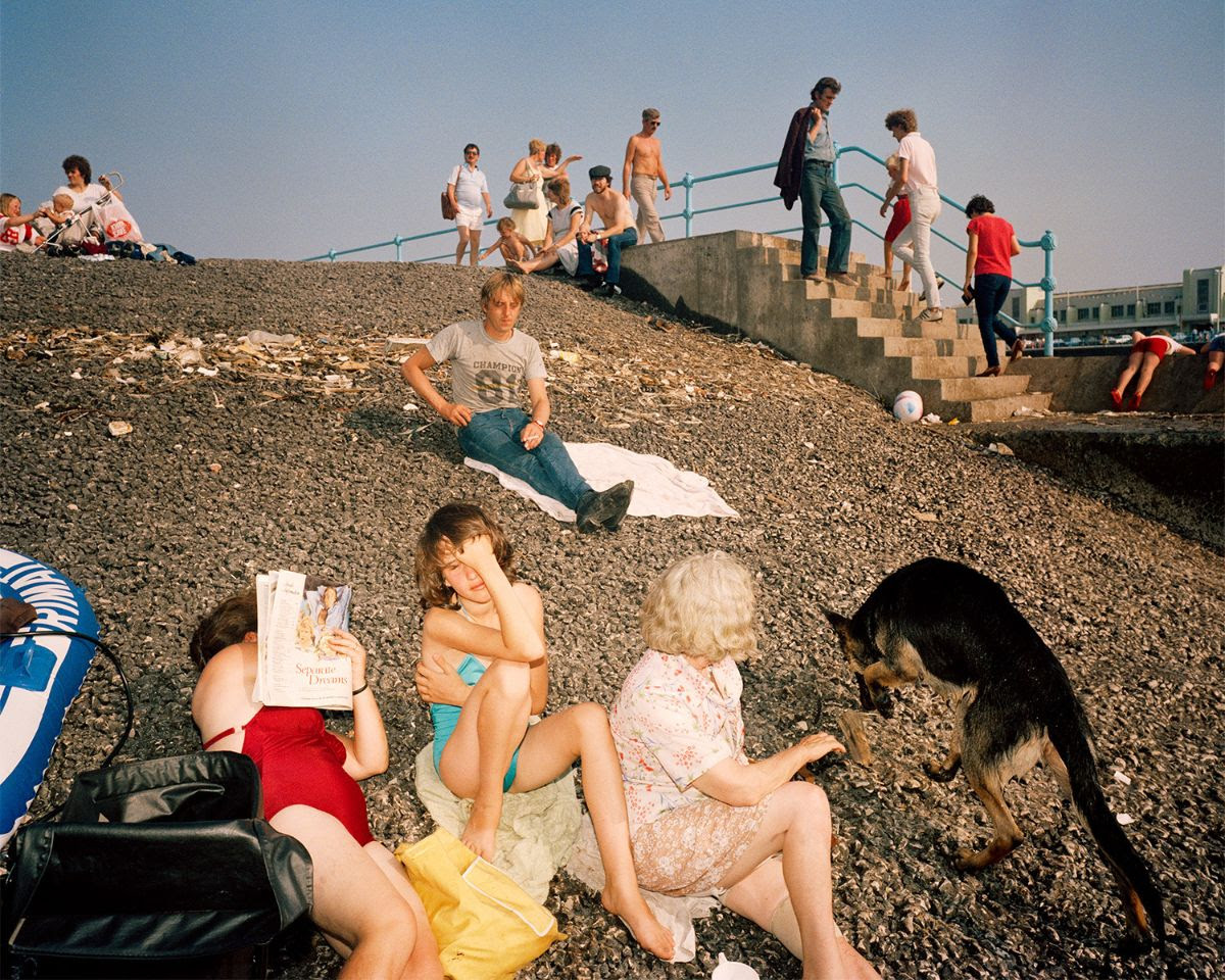 Several people sunbathe on a steep, rocky embankment littered with debris, while a German Shepherd dog explores the ground nearby.