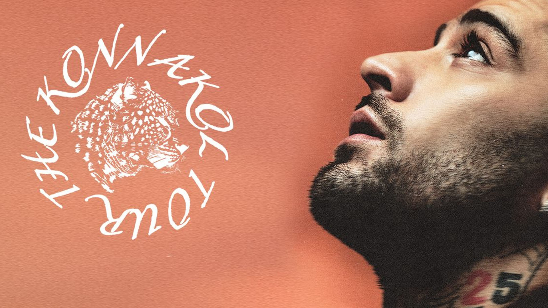 A side profile photo of Zayn Malik