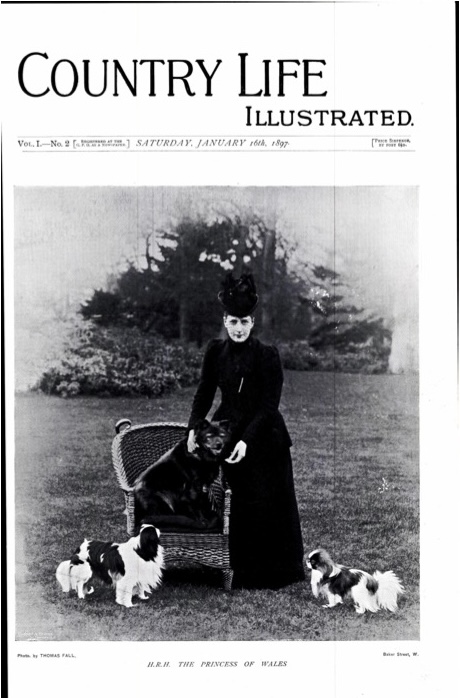 Country Life Frontispiece page