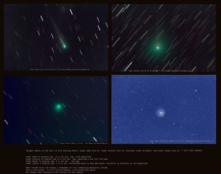 Four Bright Comets Soar in Spectacular Photo