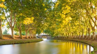 river and trees in Languedoc-Roussillon, France