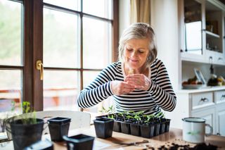 Pensioner planting seedlings in plant pots