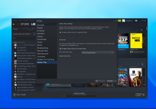Steam on Chromebook setup process showing Steam Play enabled
