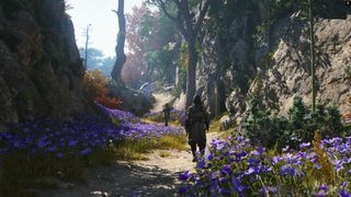 Screenshot of Assassin's Creed Shadows.