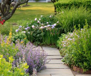 A path edged with ground cover plants