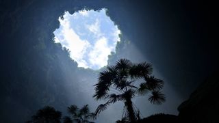 a large sinkhole with a tree inside illuminated by light coming from a hole at the top, with blue sky and clouds