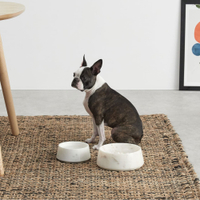 Archie Small Pet Bowl | £35 at Made