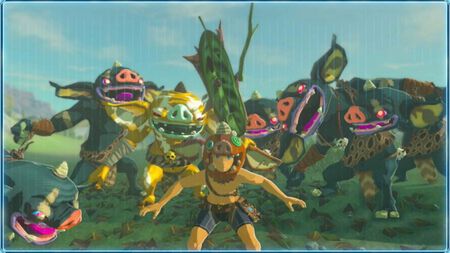 The Legend of Zelda: Breath of the Wild Korok selfie