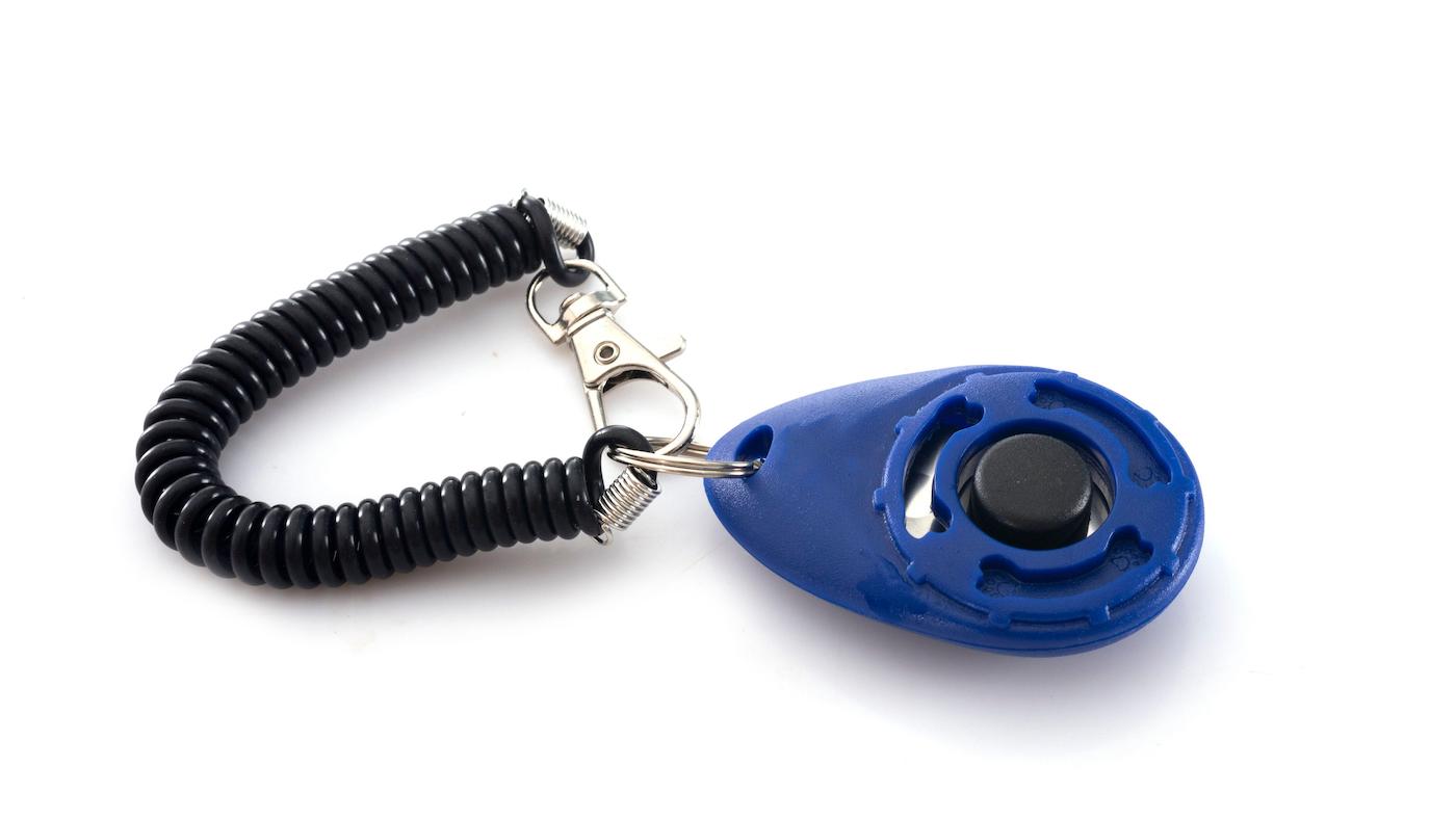 Clicker trainer