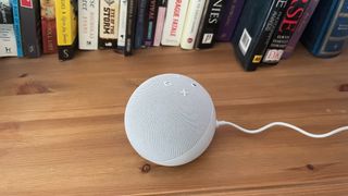 Echo Dot on a wooden shelf with some books