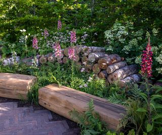 A shaded seating area made of wooden logs with woodland style planting including foxgloves and ferns