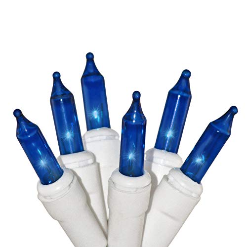 612 Vermont 100 Blue Christmas Lights on a White Wire String, Ul Approved, Indoor/outdoor Use, 18&amp;rsquo; of Lighted Length, 20&amp;rsquo; of Total Length