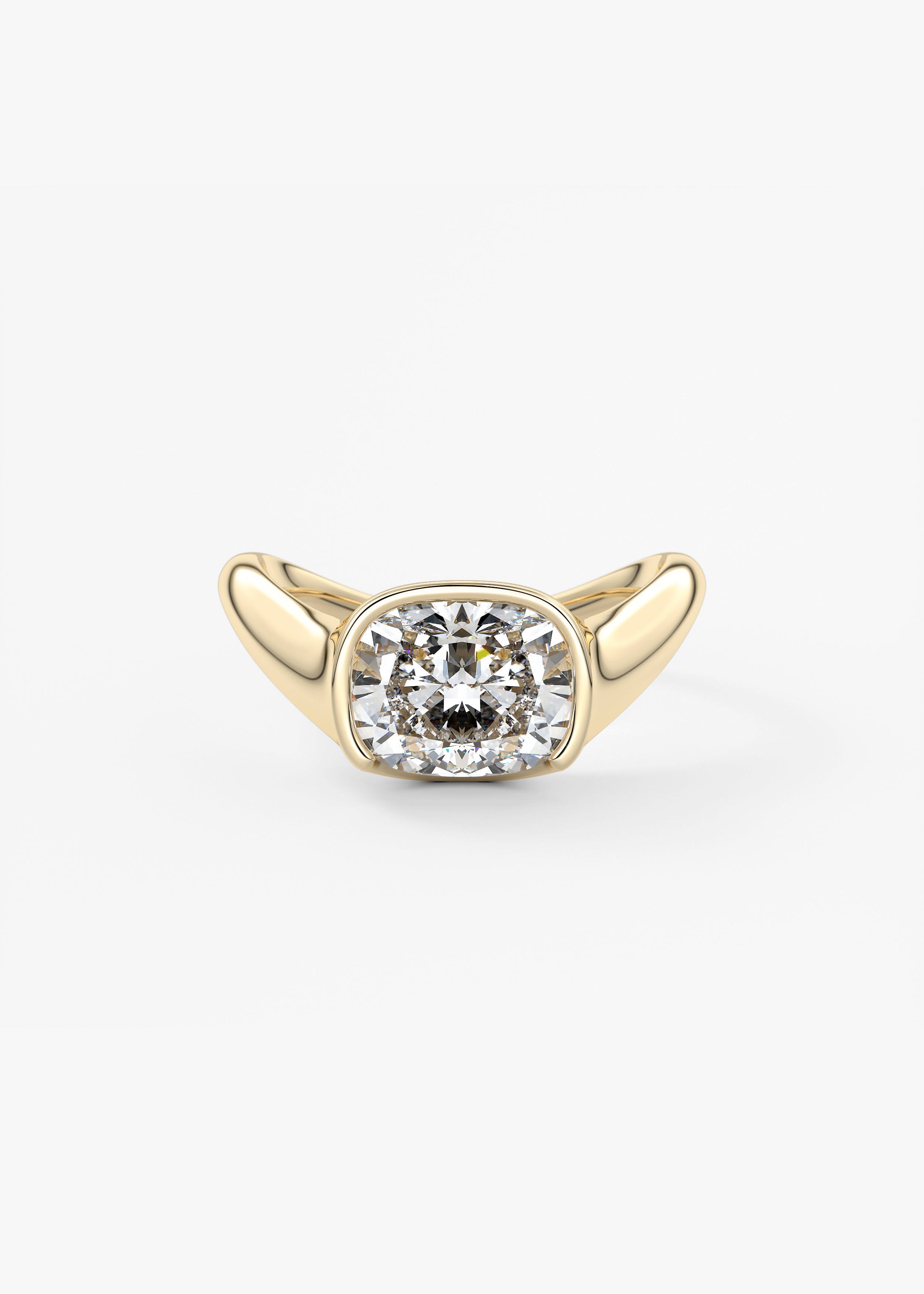 The Ray | Elongated Cushion