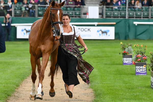 COSMA_LRBHT_NP18_72611.jpg
