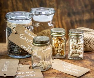 Seeds stored in jars