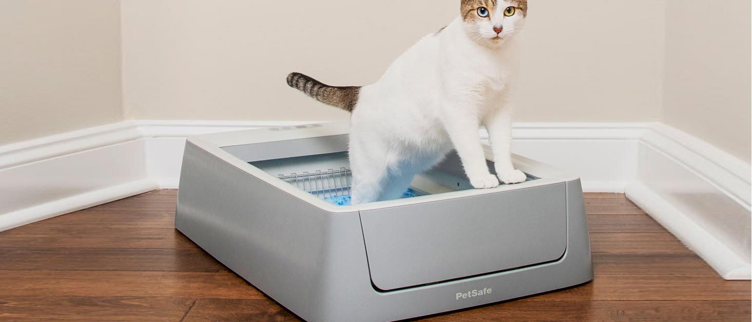 Petsafe ScoopFree Smart SelfCleaning Litterbox review Tom's Guide