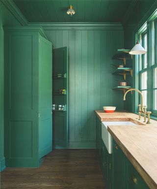 kitchen with green walls and cabinets and wooden worktop